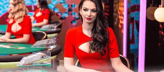 kingbet88